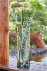 Warmstead Furniture - Ashley Furniture - Taylow Vase - Vase / Green - A2000537V