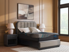Warmstead Furniture - Ashley Furniture - Millennium 2.0 Hybrid 14 Inch Mattresses - King / Black - M31441
