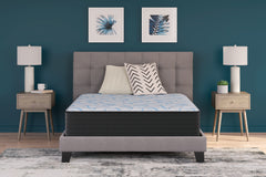 Warmstead Furniture - Ashley Furniture - Elite Springs Firm Mattresses - Twin / Gray/Blue - M40511