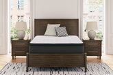 Warmstead Furniture - Ashley Furniture - Limited Edition PT Mattresses - California King / White - M41251
