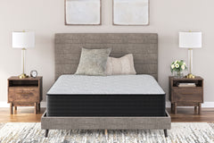 Warmstead Furniture - Ashley Furniture - Palisades Plush Mattresses - California King / Gray/Blue - M41651