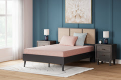 Warmstead Furniture - Ashley Furniture - iKidz Coral Mattresses - Twin and Pillow 2/CN / Coral - M43111
