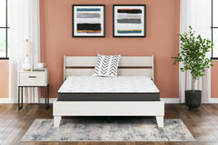 Warmstead Furniture - Ashley Furniture - 8 Inch Bonnell Hybrid Mattresses - California King / White - M58751