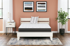Warmstead Furniture - Ashley Furniture - 10 Inch Pocketed Hybrid Mattresses - California King / White - M58951