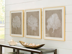 Warmstead Furniture - Ashley Furniture - Hendridge Wall Decor - Wall Art Set (3/CN) / Taupe/White - A8000486