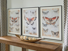 Warmstead Furniture - Ashley Furniture - Jossletts Wall Decor - Wall Art Set (3/CN) / Orange/Black/Ivory - A8000490