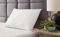 Warmstead Furniture - Ashley Furniture - Zephyr 2.0 Pillows - Graphene Contour Pillow / Dark Gray - M52113P